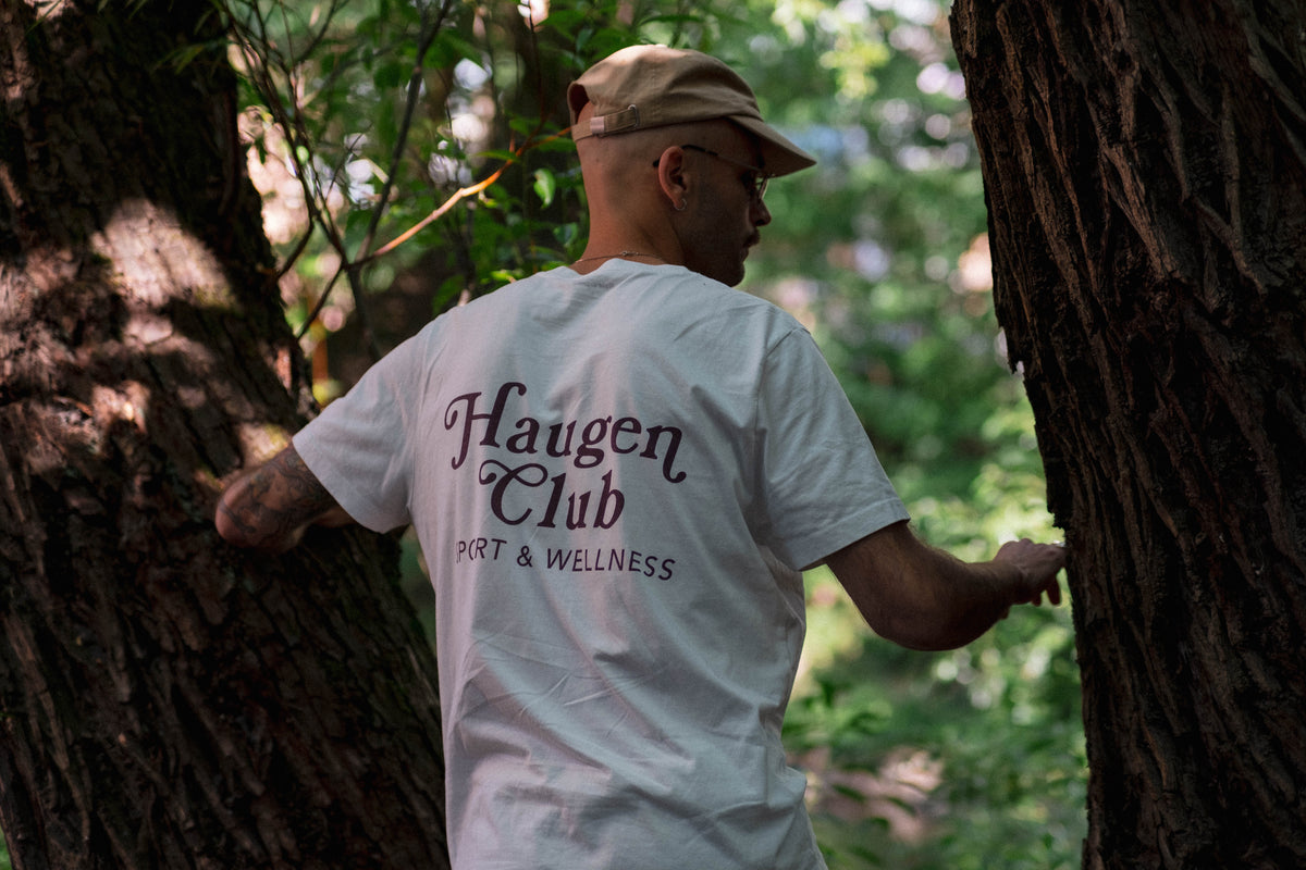 Haugen Hus tee